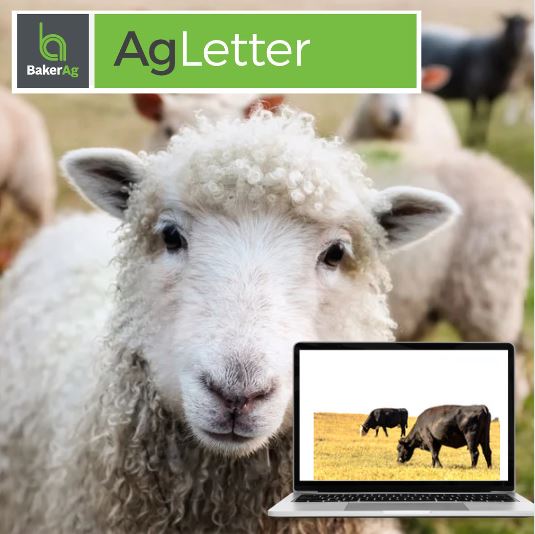 home-page-banner